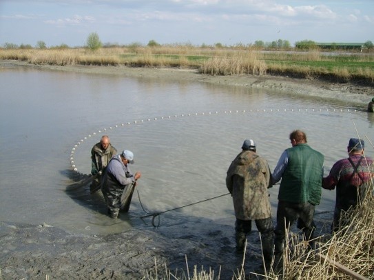 EPFC-CG workshop in Hungary